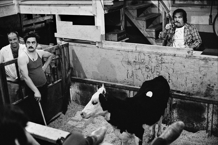 Normand_Rajotte_Transcanadienne_sortie109_Encan d'animaux à St-Charles_58bis_1977#36a