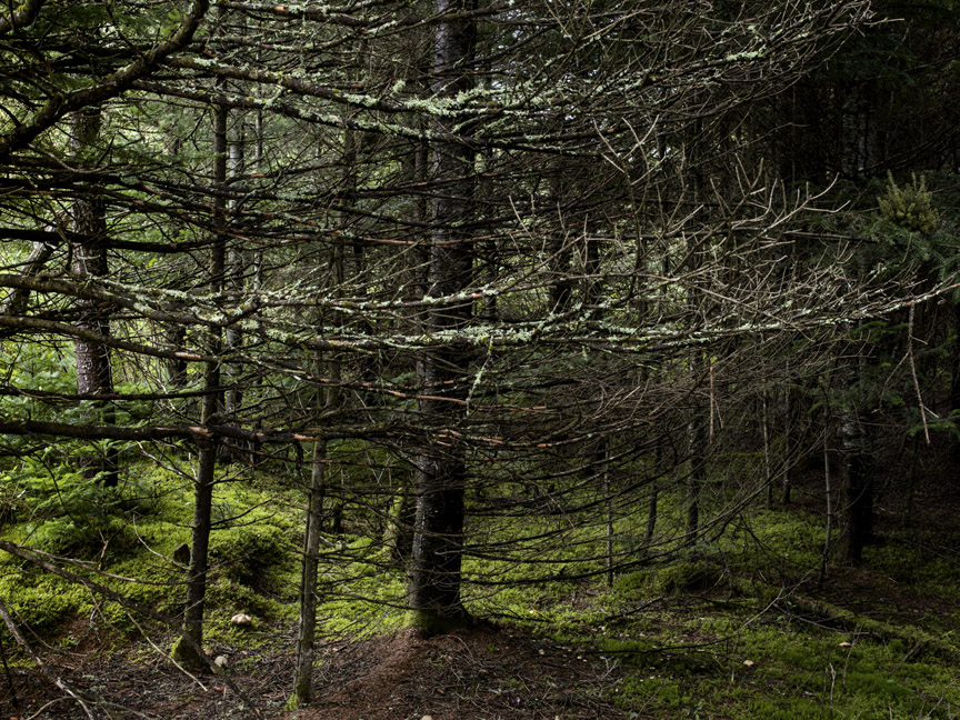 03_Normand_Rajotte_A0016028_D4