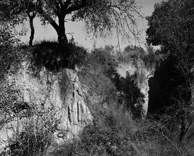07_Normand_Rajotte