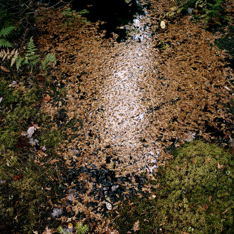 07_Normand_Rajotte_183_09_2009_6_E