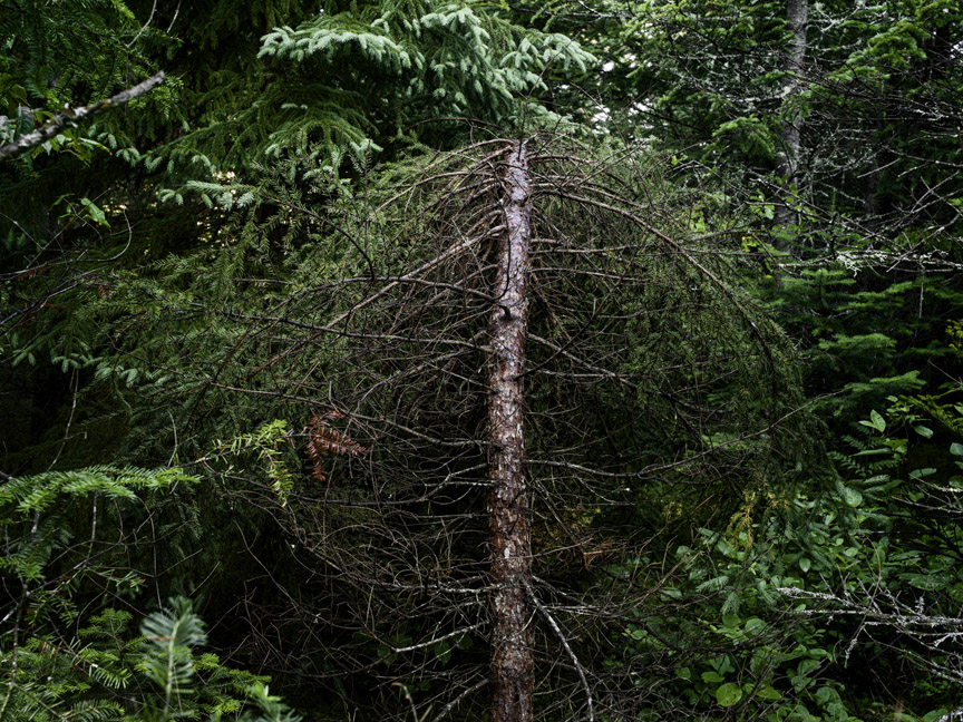 08_Normand_Rajotte_A0004805B3