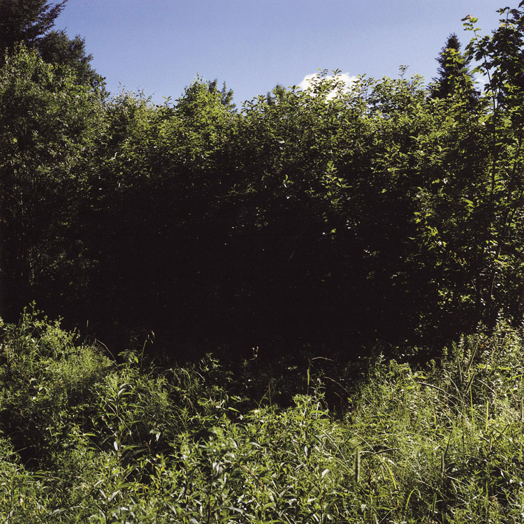 12_Normand_Rajotte