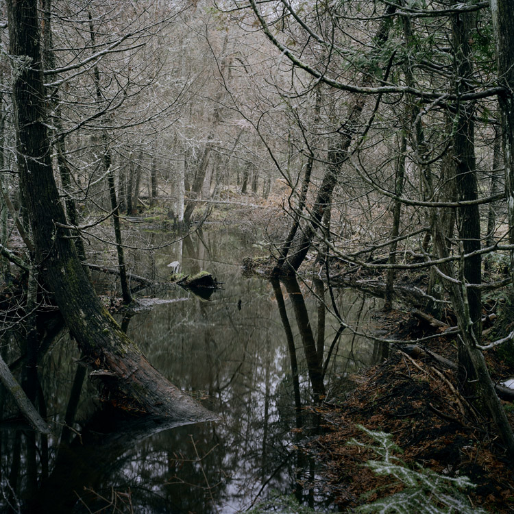 47_04_2012_12 001