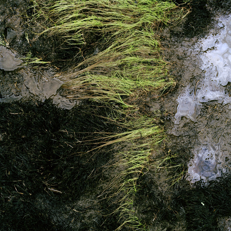 22_Normand_Rajotte_132_7_2008_9.2