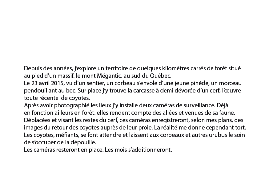 DiapoCarcasse